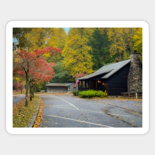Fall in Vogel State Park Sticker